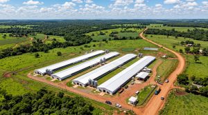 Galpones avÃ­colas y agroindustriales